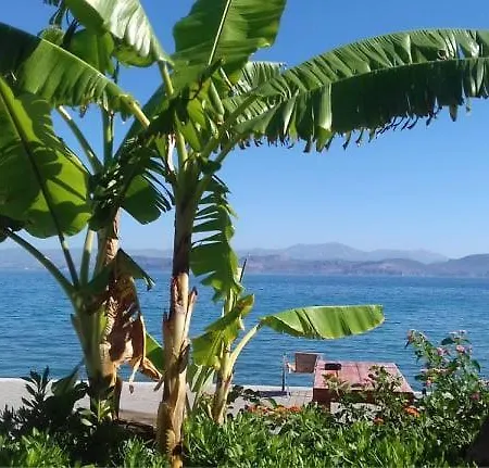 Apartmán Evita