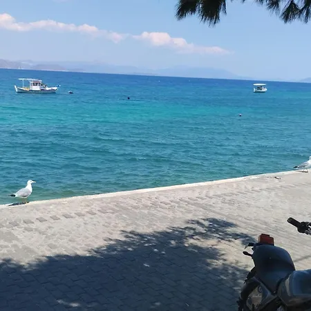 Evita 卡西罗彼卡多