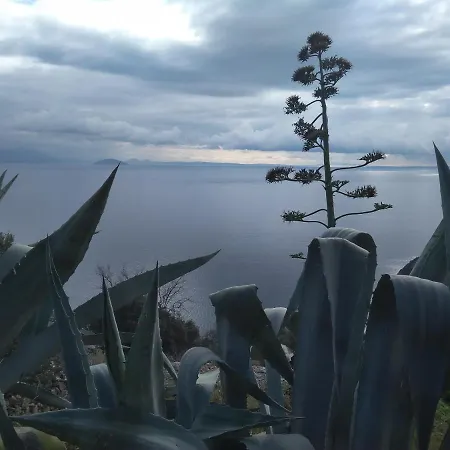 Evita Διαμέρισμα