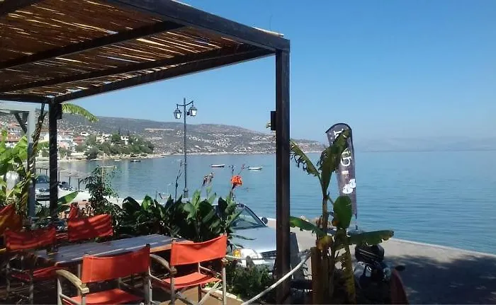 Evita 卡西罗彼卡多