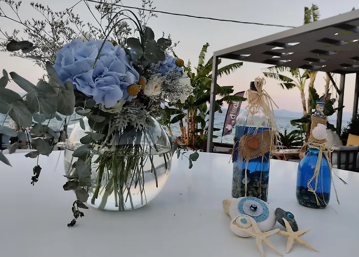 公寓 Evita 卡西罗彼卡多